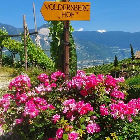 Appartamento Voldersberghof Cortaccia Esterno foto