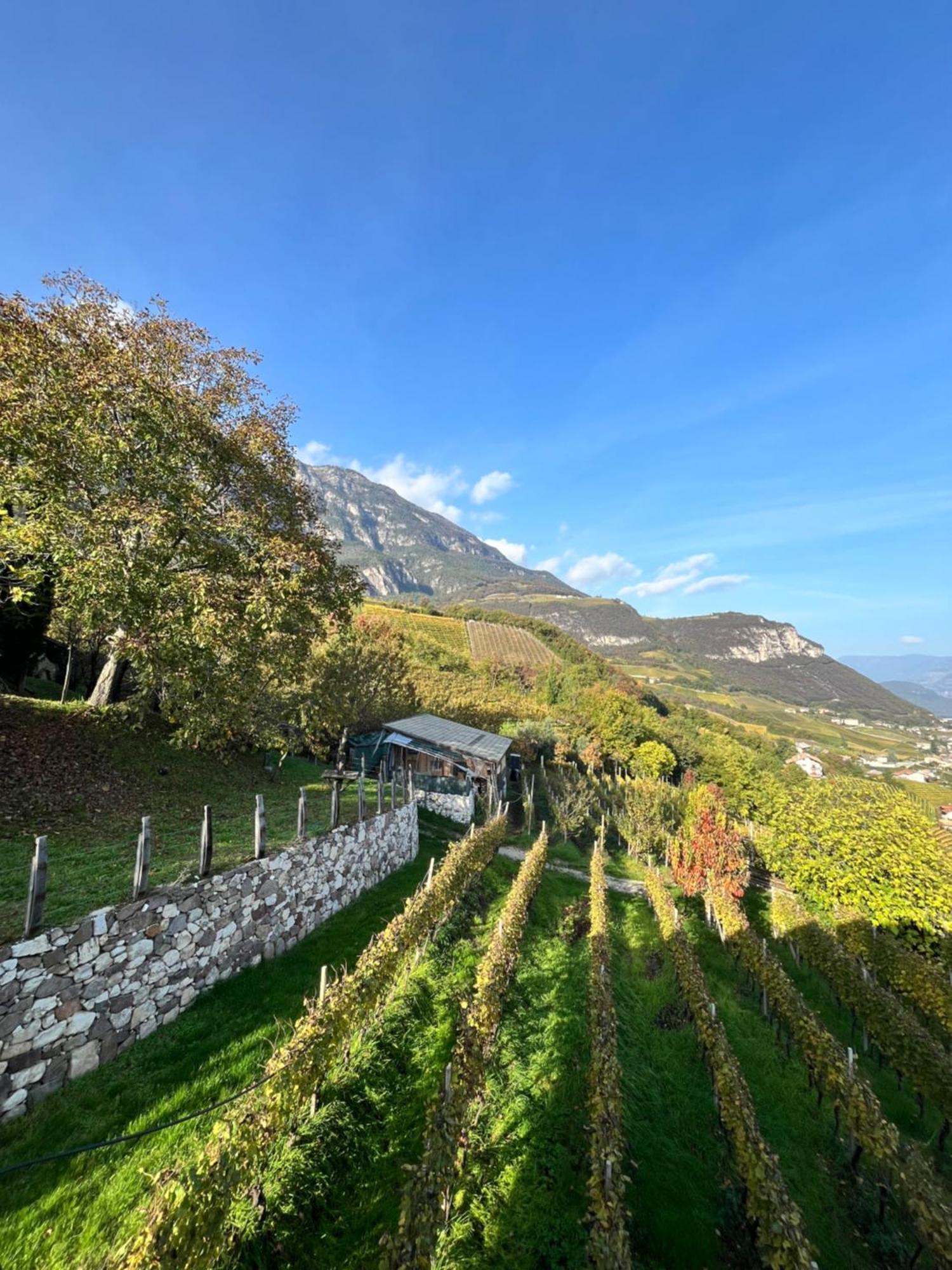 Appartamento Voldersberghof Cortaccia Esterno foto