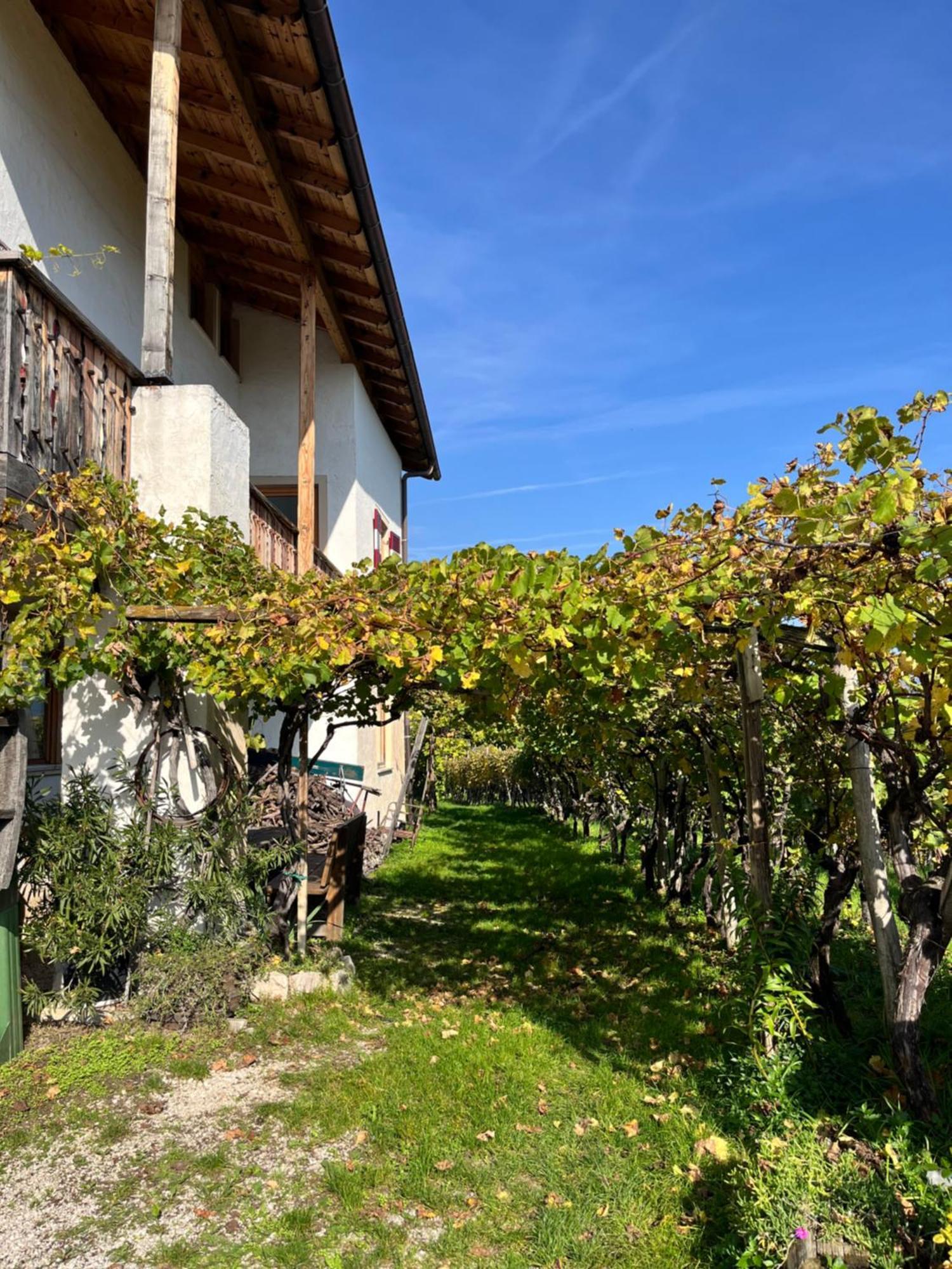 Appartamento Voldersberghof Cortaccia Esterno foto
